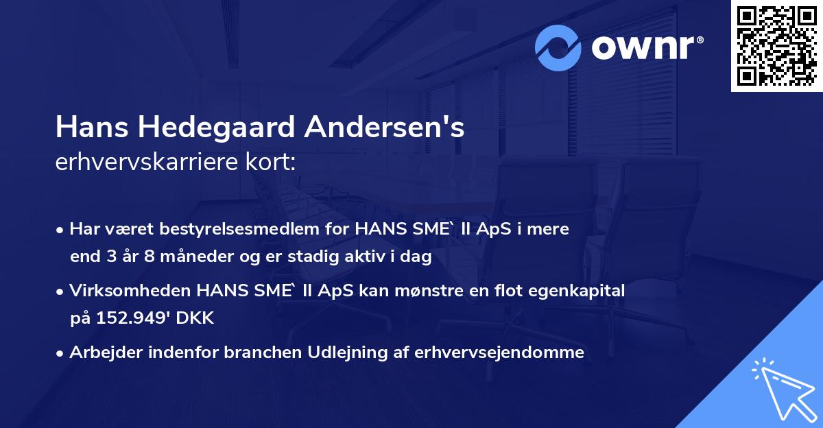 Hans Hedegaard Andersen's erhvervskarriere kort