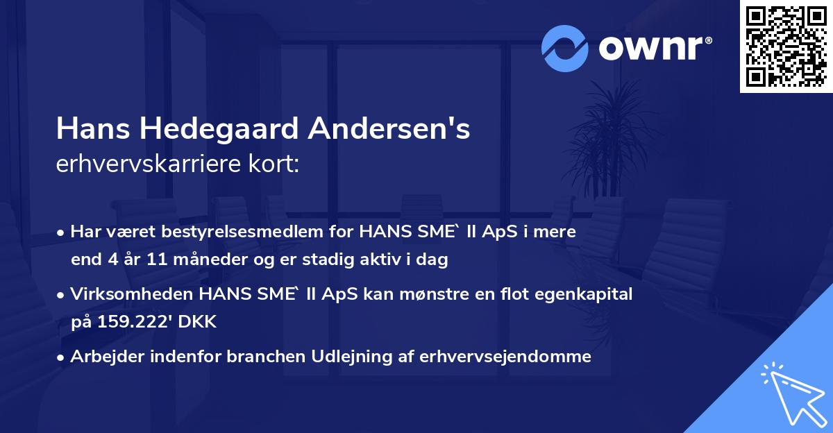Hans Hedegaard Andersen's erhvervskarriere kort