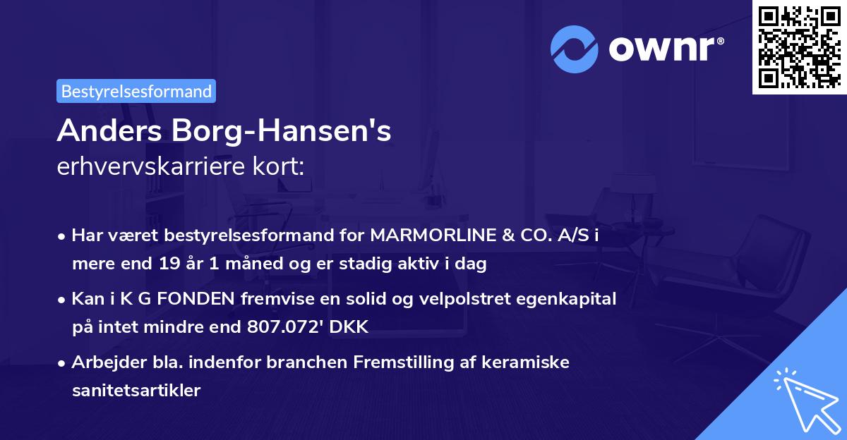 Anders Borg-Hansen's erhvervskarriere kort