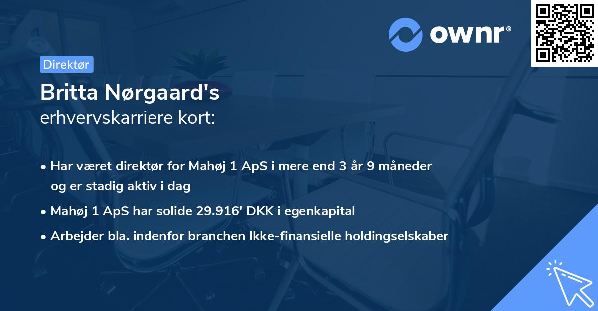 Britta Nørgaard's erhvervskarriere kort