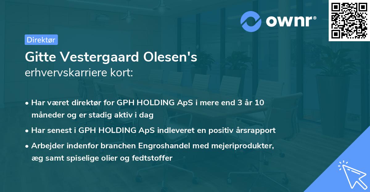 Gitte Vestergaard Olesen's erhvervskarriere kort