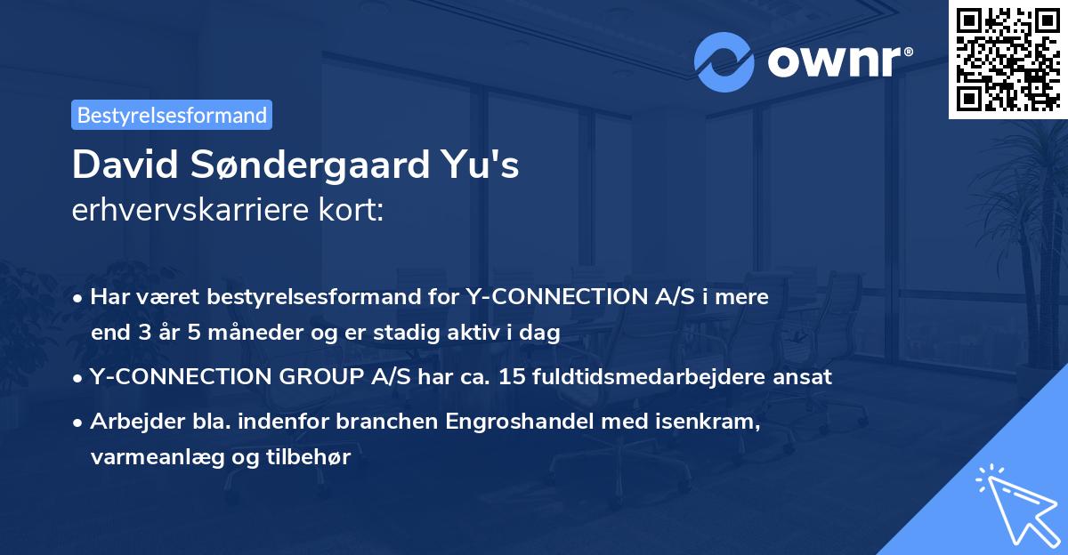 David Søndergaard Yu's erhvervskarriere kort