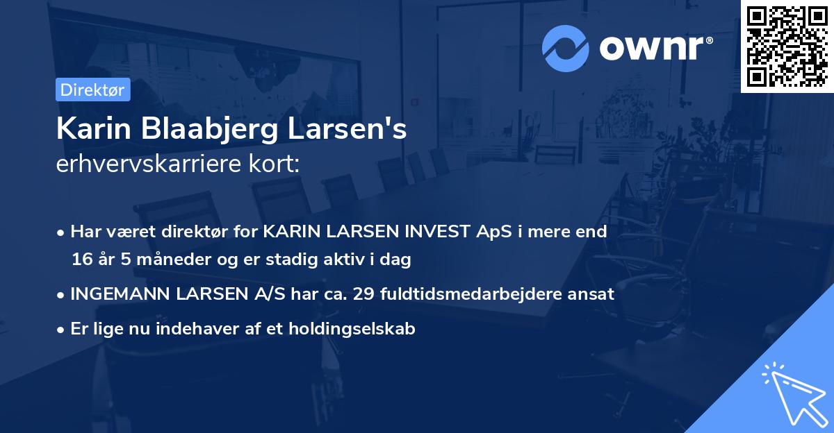 Karin Blaabjerg Larsen's erhvervskarriere kort