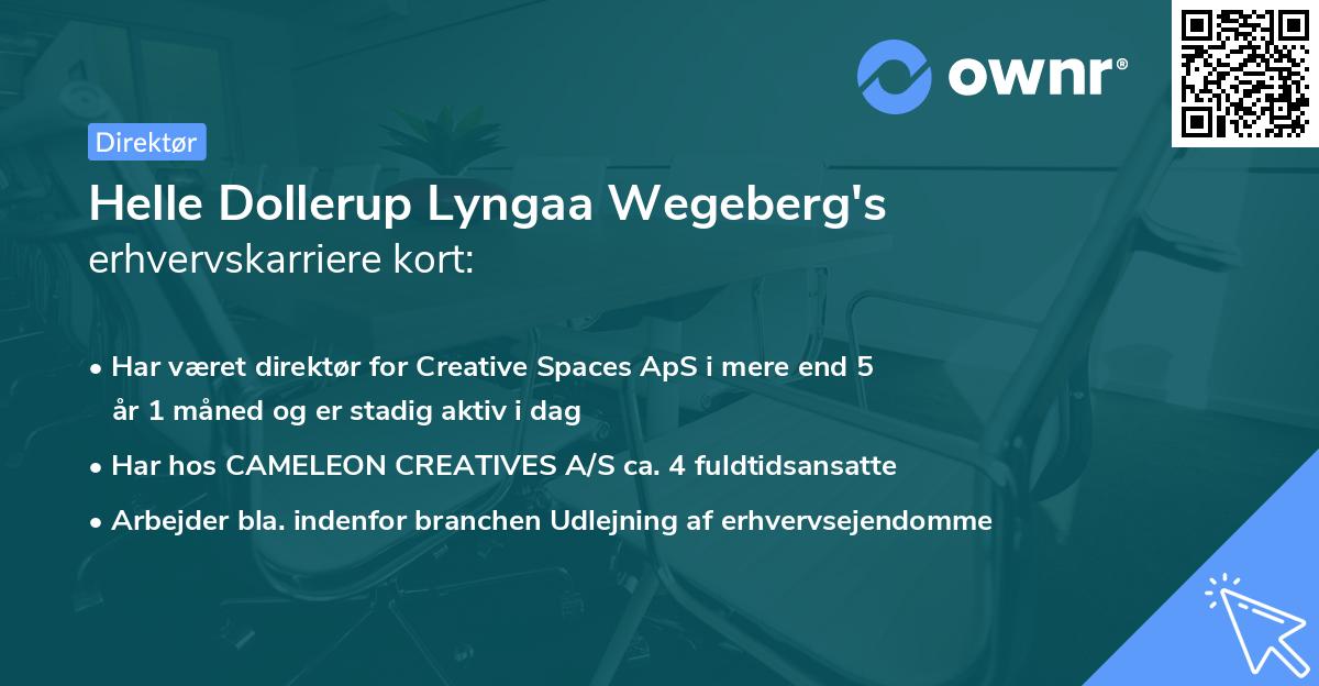 Helle Dollerup Lyngaa Wegeberg's erhvervskarriere kort