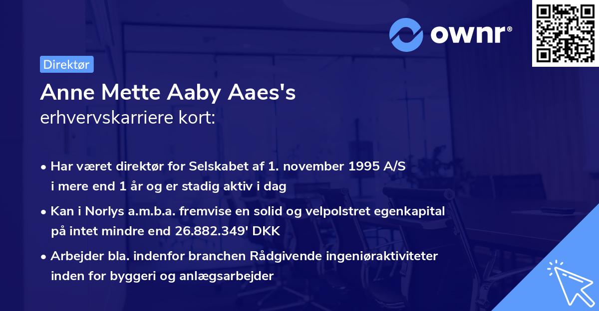 Anne Mette Aaby Aaes's erhvervskarriere kort