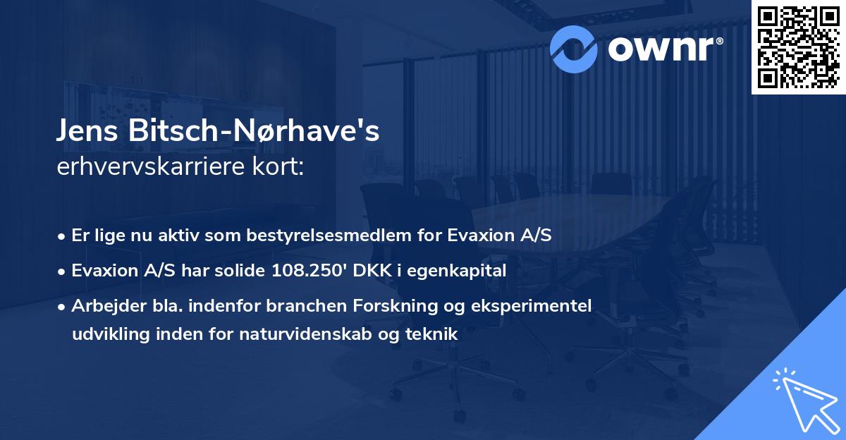 Jens Bitsch-Nørhave's erhvervskarriere kort