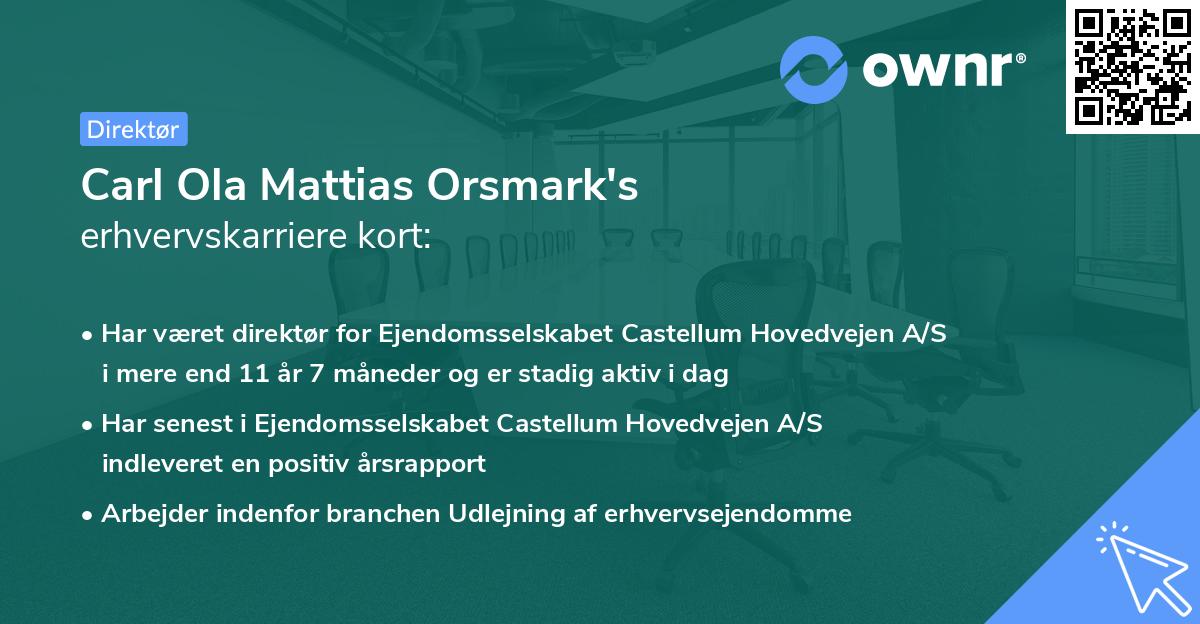 Carl Ola Mattias Orsmark's erhvervskarriere kort