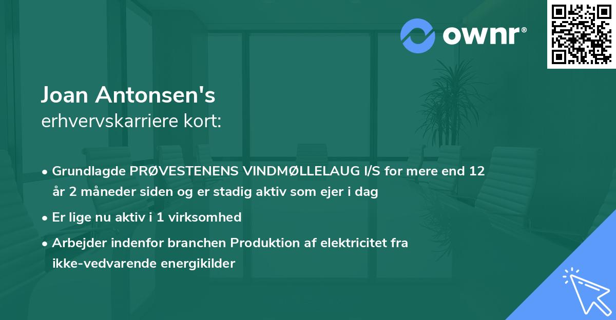 Joan Antonsen's erhvervskarriere kort