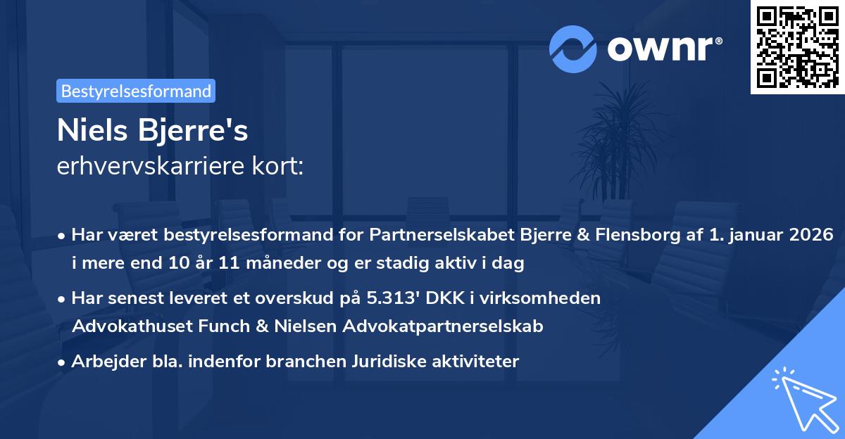 Niels Bjerre's erhvervskarriere kort