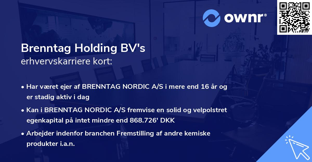 Brenntag Holding BV's erhvervskarriere kort