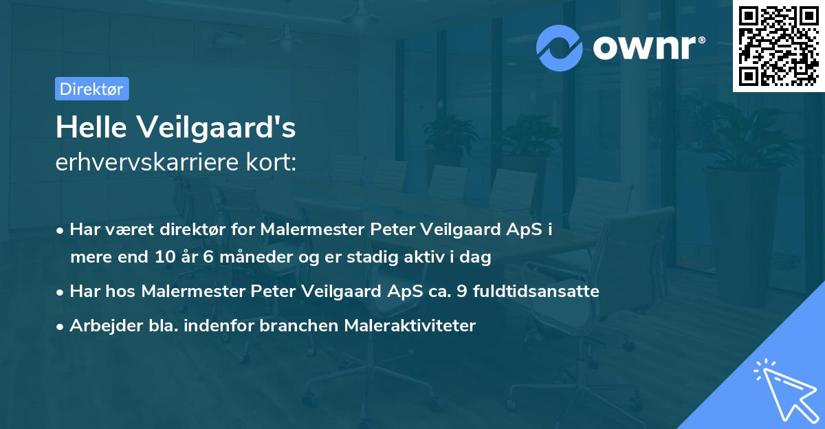 Helle Veilgaard's erhvervskarriere kort