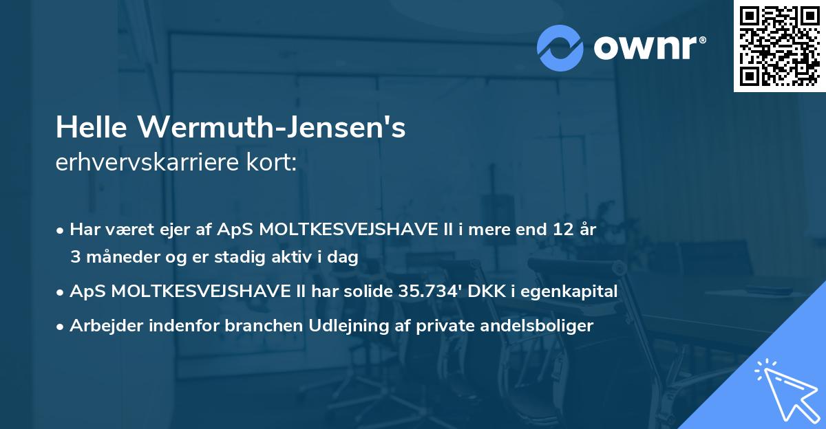 Helle Wermuth-Jensen's erhvervskarriere kort