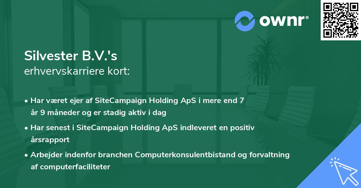 Silvester B.V.'s erhvervskarriere kort
