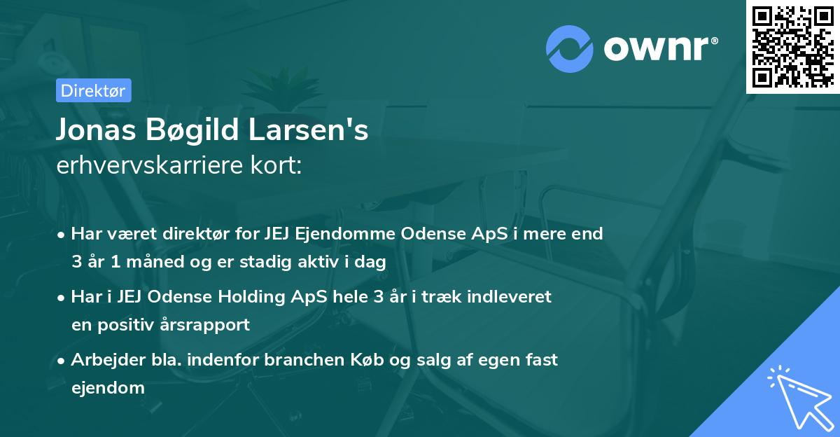 Jonas Bøgild Larsen's erhvervskarriere kort