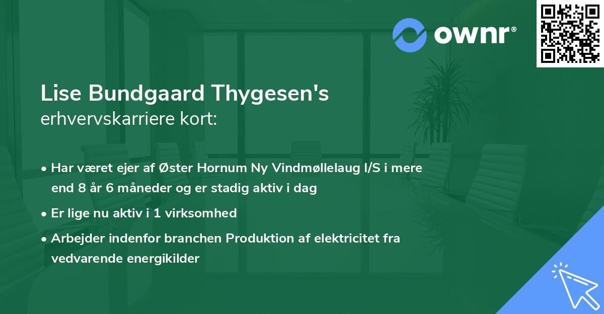 Lise Bundgaard Thygesen's erhvervskarriere kort