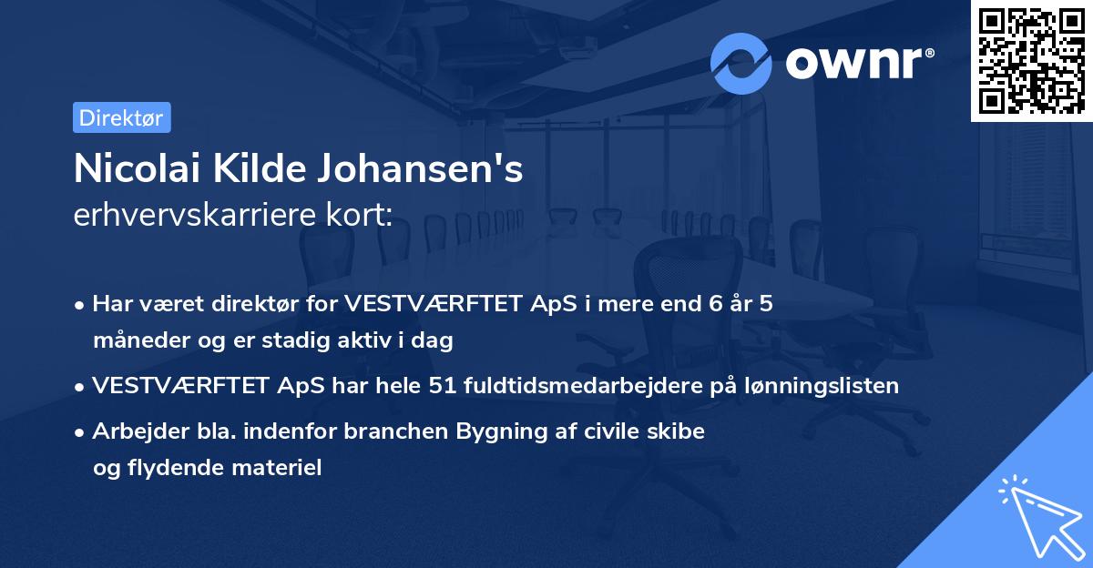 Nicolai Kilde Johansen's erhvervskarriere kort