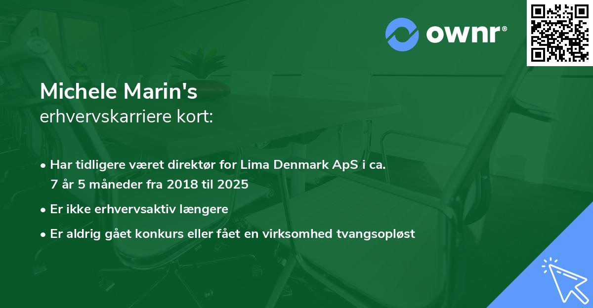 Michele Marin's erhvervskarriere kort