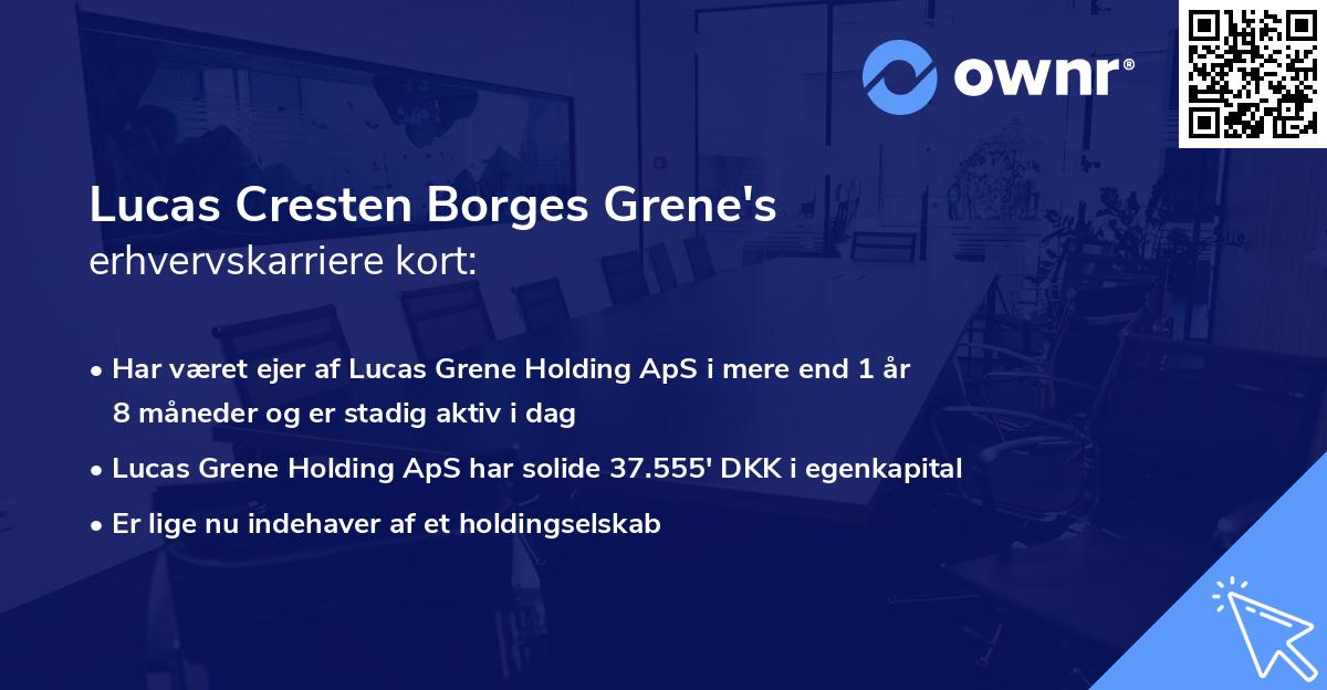 Lucas Cresten Borges Grene's erhvervskarriere kort