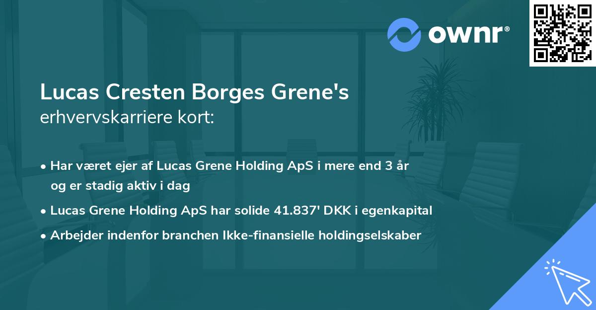 Lucas Cresten Borges Grene's erhvervskarriere kort