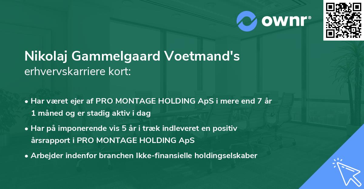 Nikolaj Gammelgaard Voetmand's erhvervskarriere kort