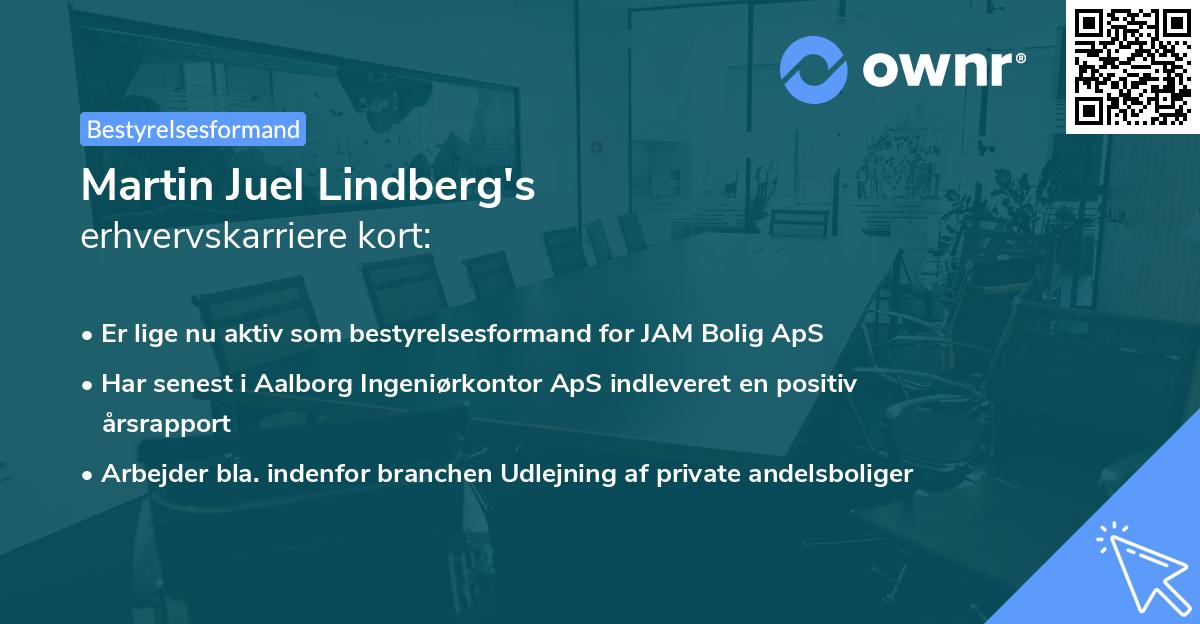 Martin Juel Lindberg's erhvervskarriere kort