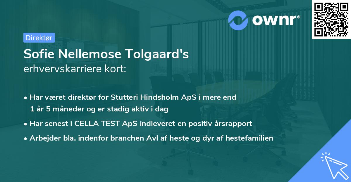 Sofie Nellemose Tolgaard's erhvervskarriere kort
