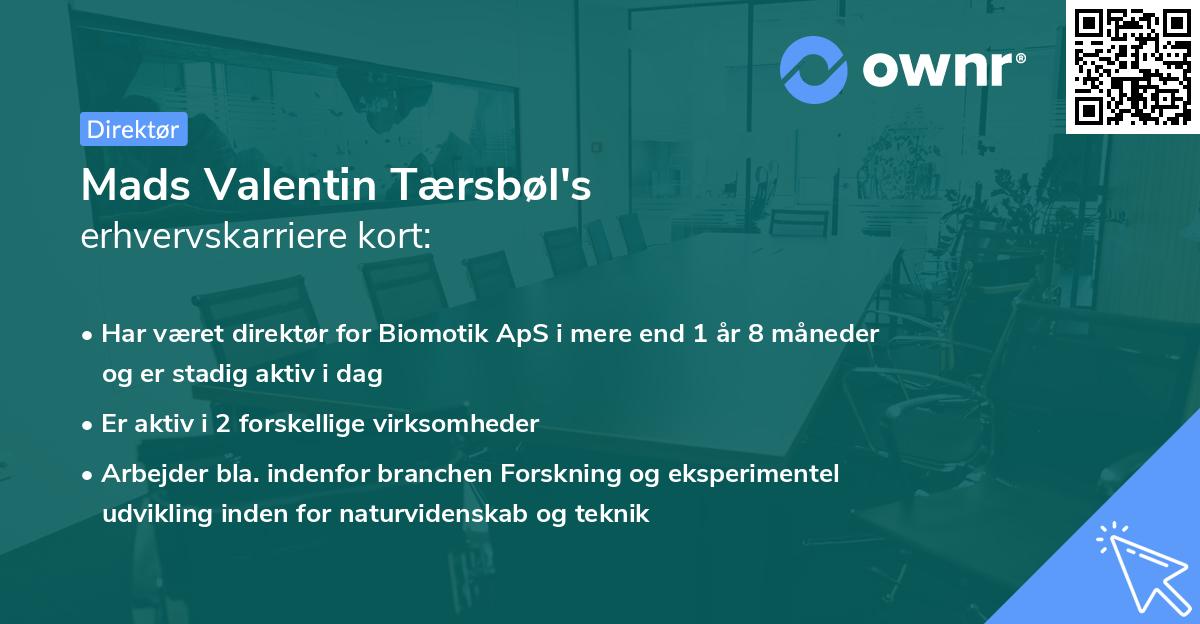 Mads Valentin Tærsbøl's erhvervskarriere kort