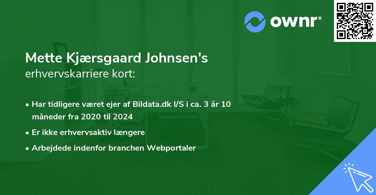 Mette Kjærsgaard Johnsen's erhvervskarriere kort