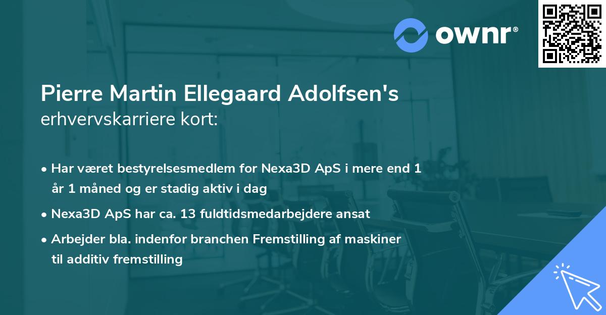 Pierre Martin Ellegaard Adolfsen's erhvervskarriere kort
