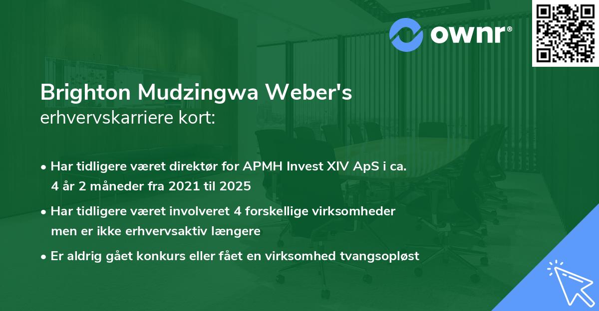 Brighton Mudzingwa Weber's erhvervskarriere kort