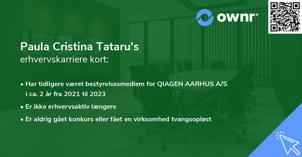 Paula Cristina Tataru's erhvervskarriere kort