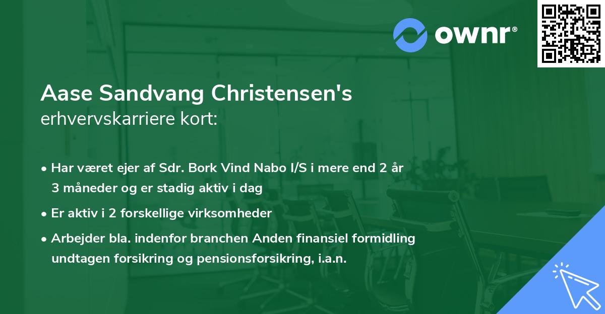 Aase Sandvang Christensen's erhvervskarriere kort