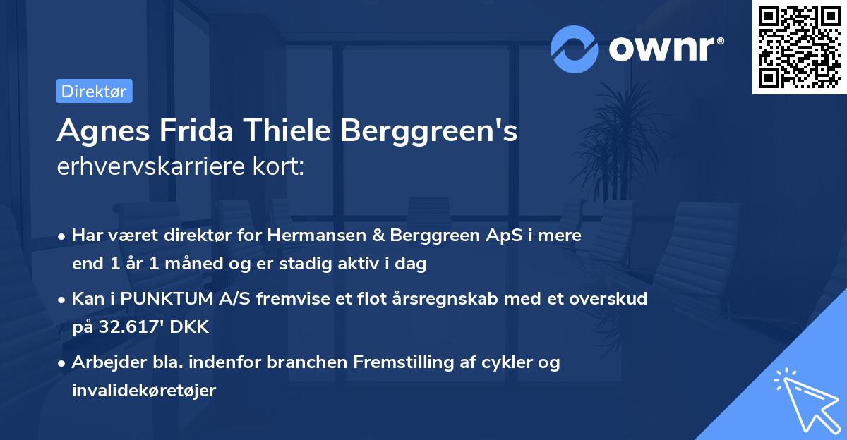 Agnes Frida Thiele Berggreen's erhvervskarriere kort