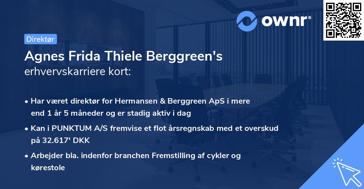 Agnes Frida Thiele Berggreen's erhvervskarriere kort