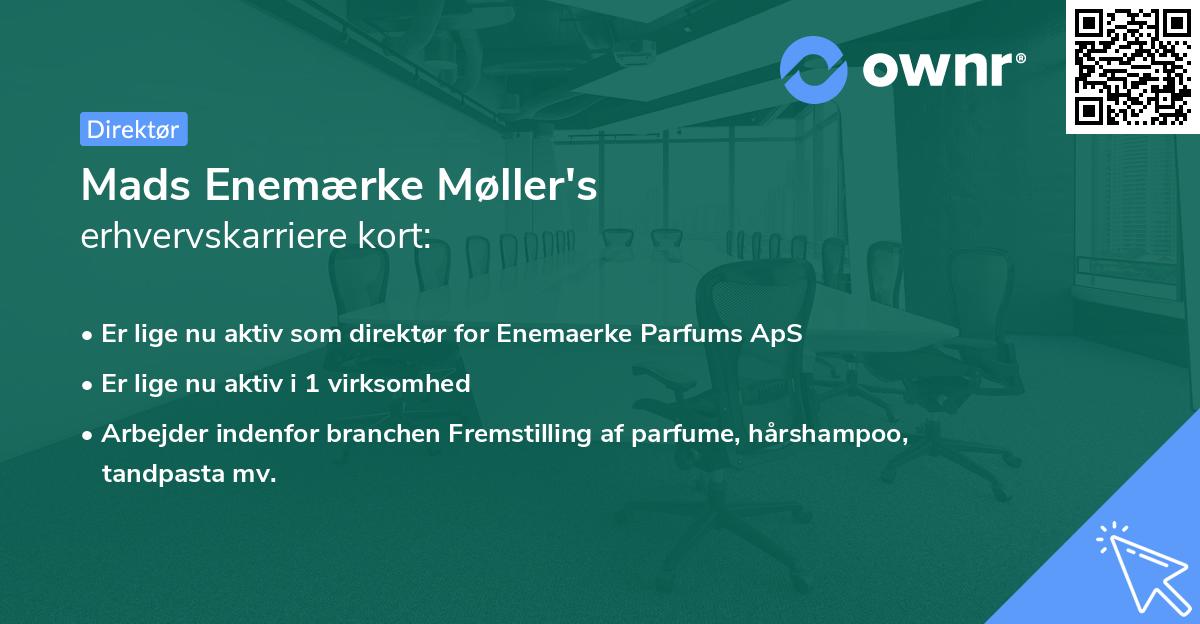 Mads Enemærke Møller's erhvervskarriere kort