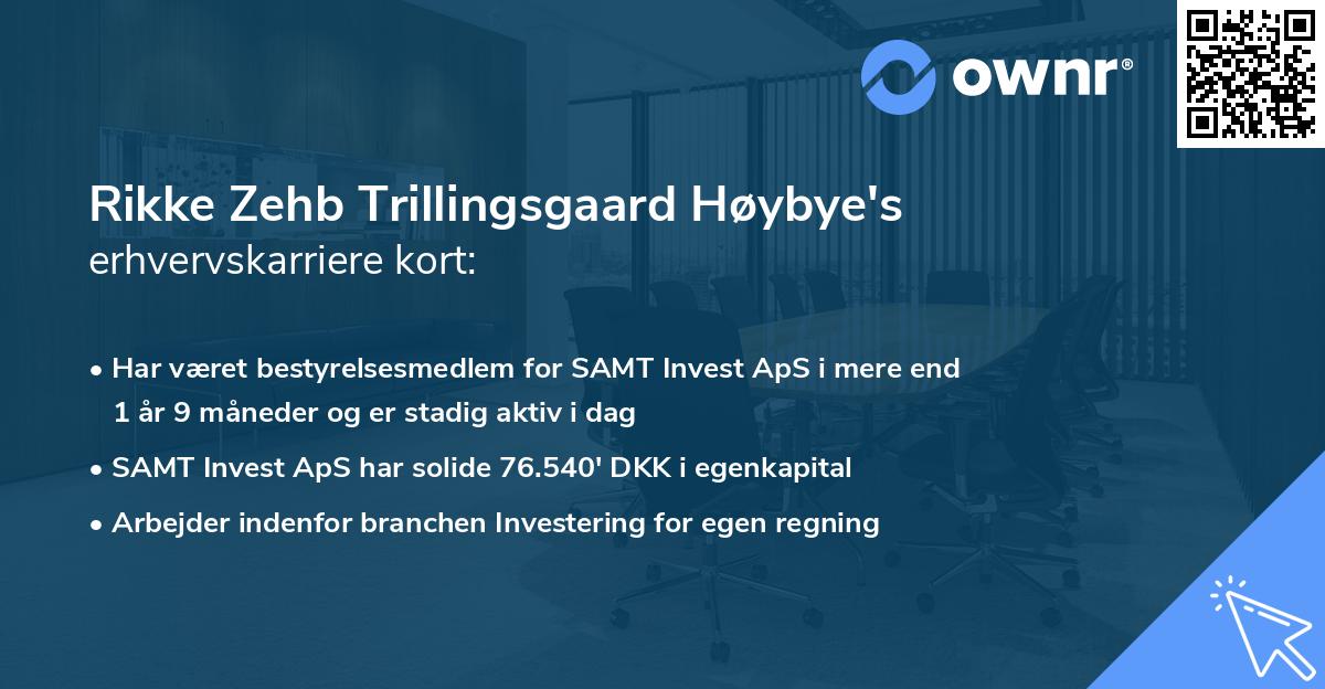 Rikke Zehb Trillingsgaard Høybye's erhvervskarriere kort