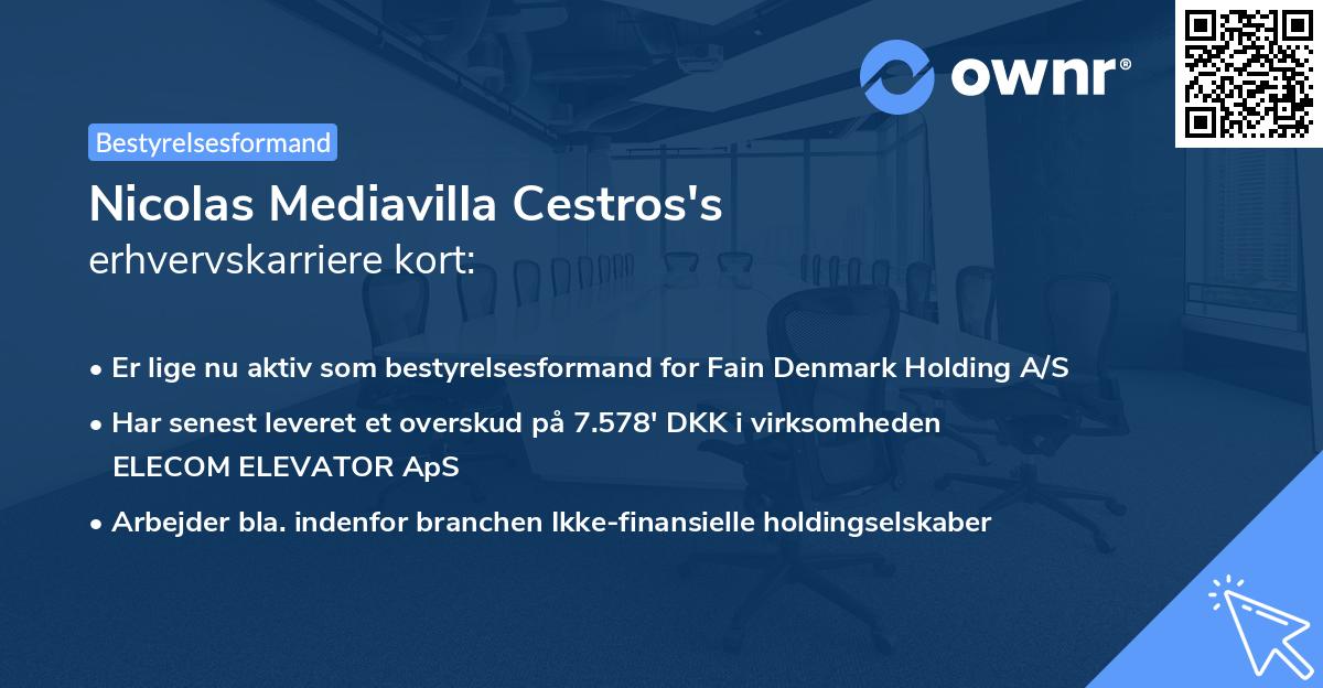 Nicolas Mediavilla Cestros's erhvervskarriere kort