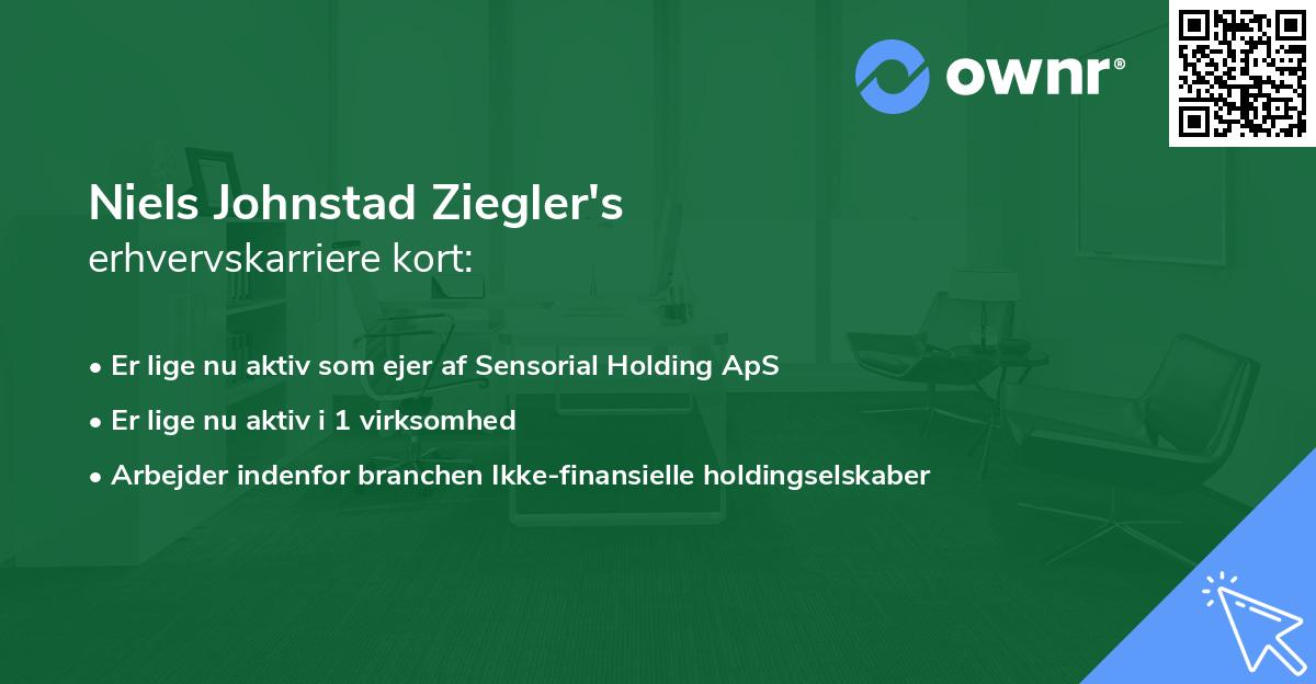 Niels Johnstad Ziegler's erhvervskarriere kort