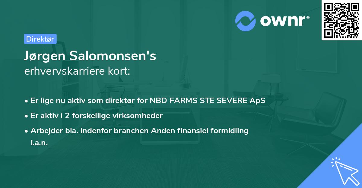 Jørgen Salomonsen's erhvervskarriere kort
