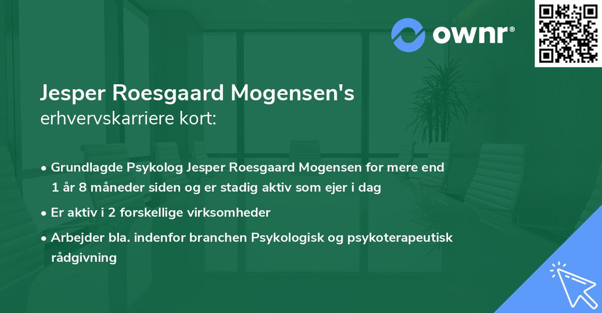 Jesper Roesgaard Mogensen's erhvervskarriere kort