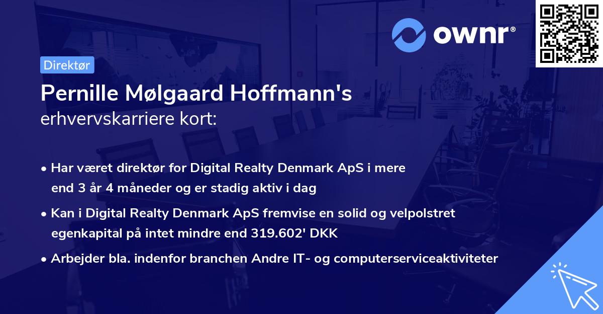 Pernille Mølgaard Hoffmann's erhvervskarriere kort