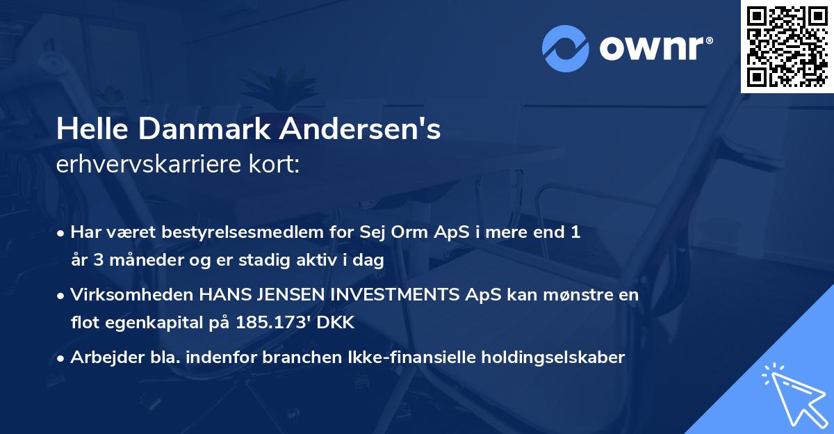 Helle Danmark Andersen's erhvervskarriere kort