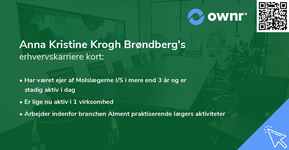 Anna Kristine Krogh Brøndberg's erhvervskarriere kort