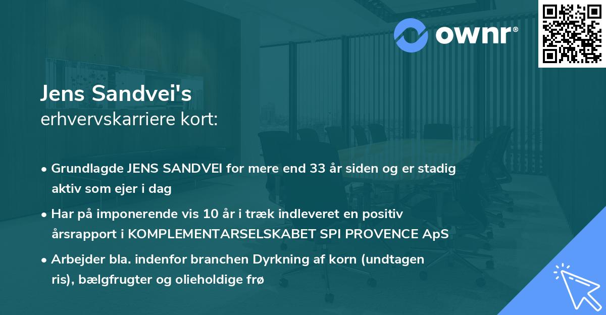 Jens Sandvei's erhvervskarriere kort