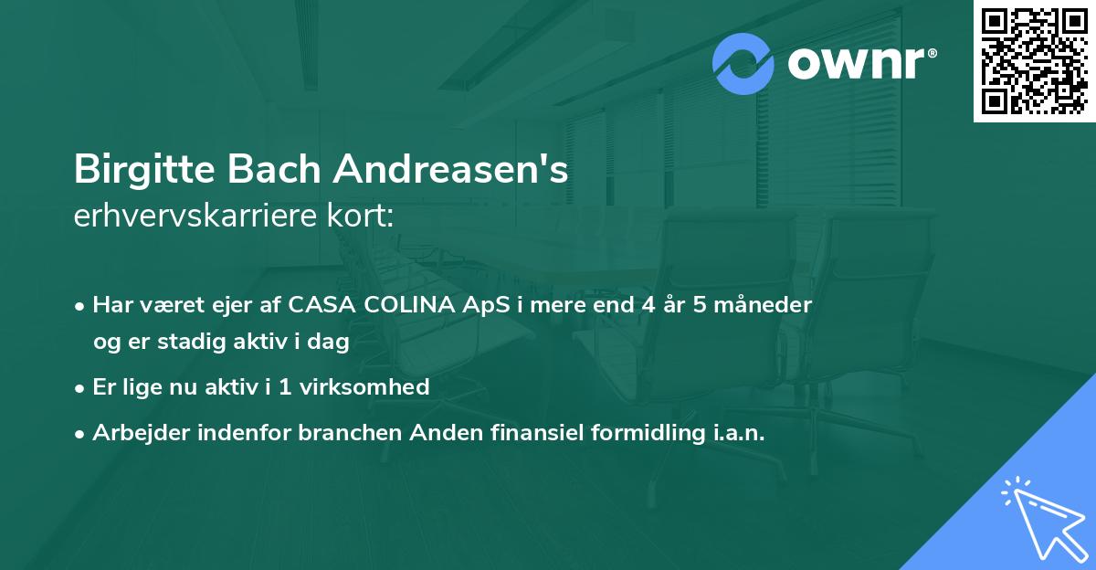 Birgitte Bach Andreasen's erhvervskarriere kort