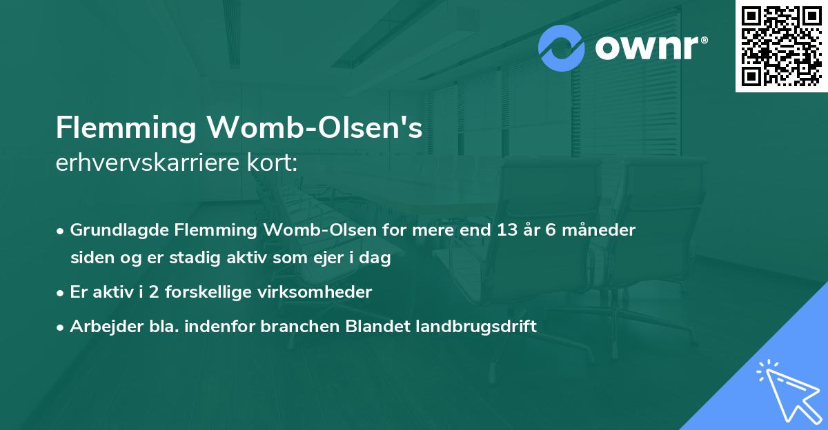 Flemming Womb-Olsen's erhvervskarriere kort