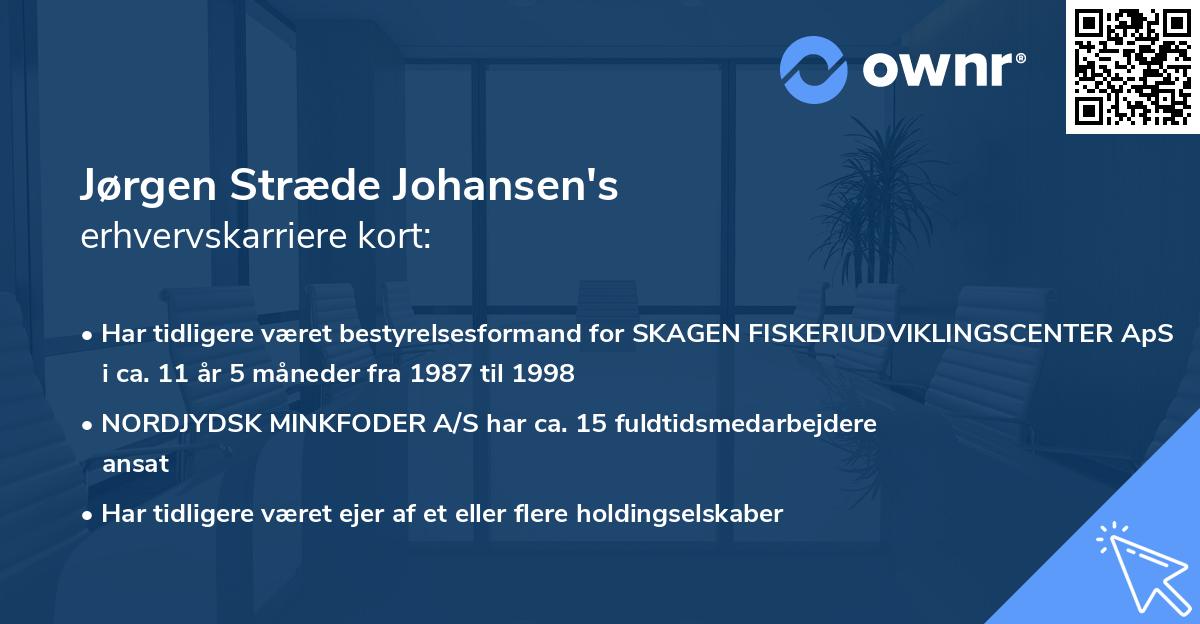 Jørgen Stræde Johansen's erhvervskarriere kort