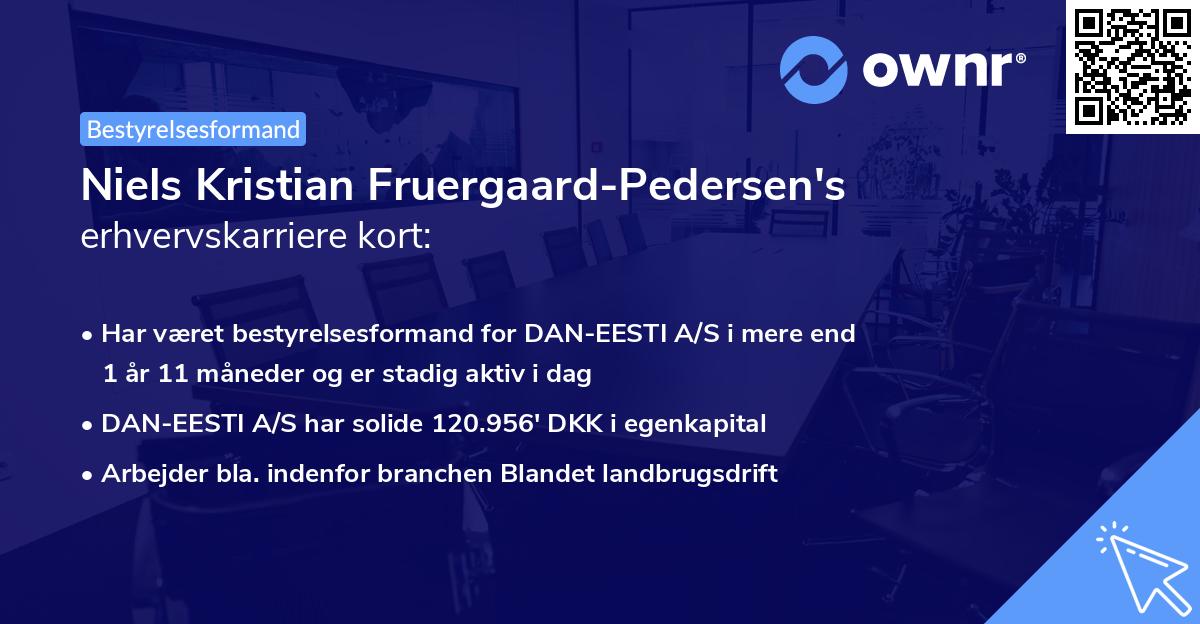 Niels Kristian Fruergaard-Pedersen's erhvervskarriere kort