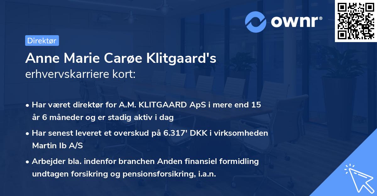 Anne Marie Carøe Klitgaard's erhvervskarriere kort