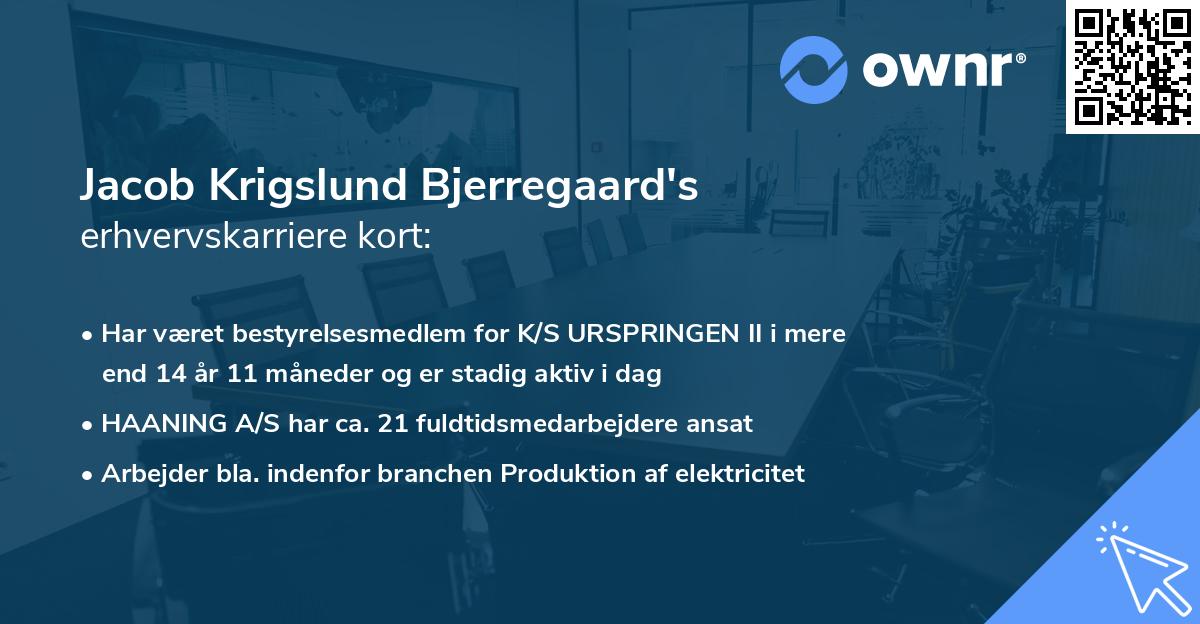 Jacob Krigslund Bjerregaard's erhvervskarriere kort